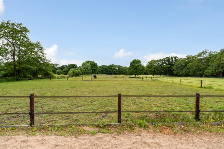 Foto 46 van Goringbos 7