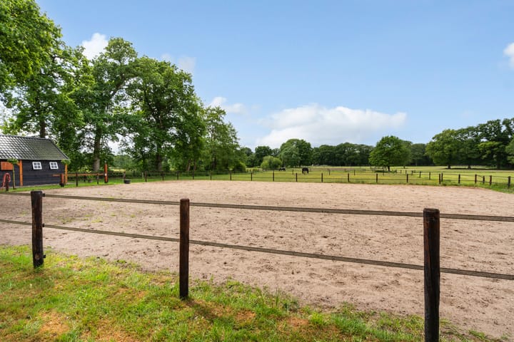 Foto 49 van Goringbos 7