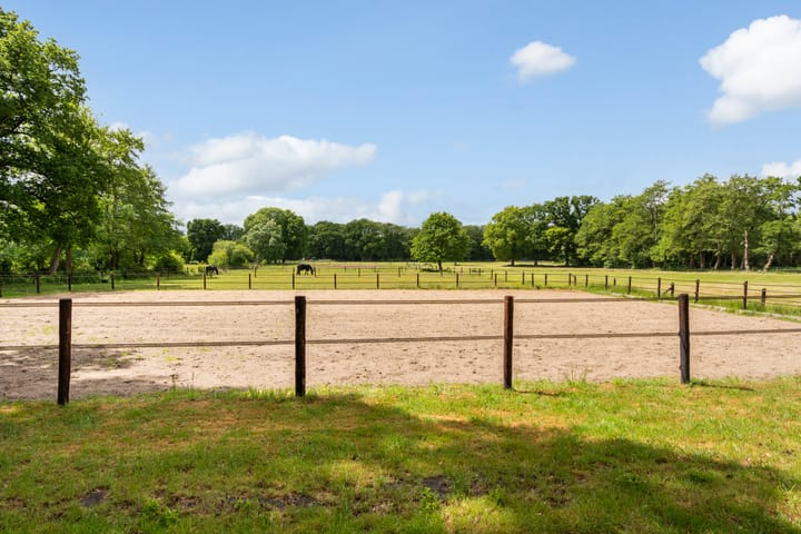 Foto 50 van Goringbos 7