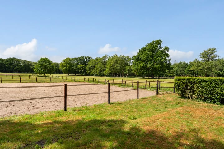 Foto 51 van Goringbos 7