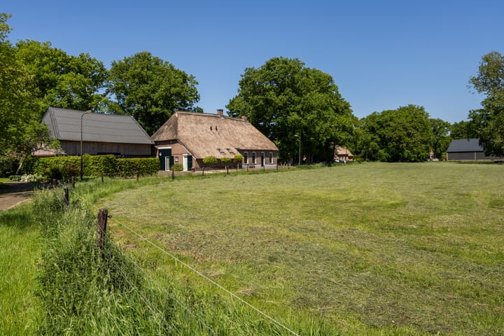 Foto 55 van Goringbos 7