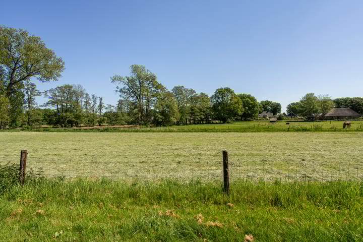 Foto 60 van Goringbos 7