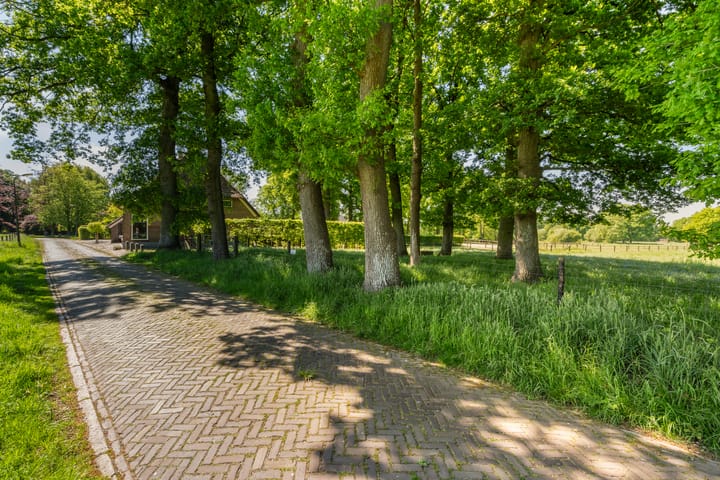 Foto 61 van Goringbos 7