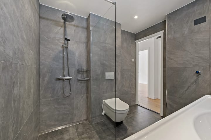 Foto 13 van Goudreinetstraat 241