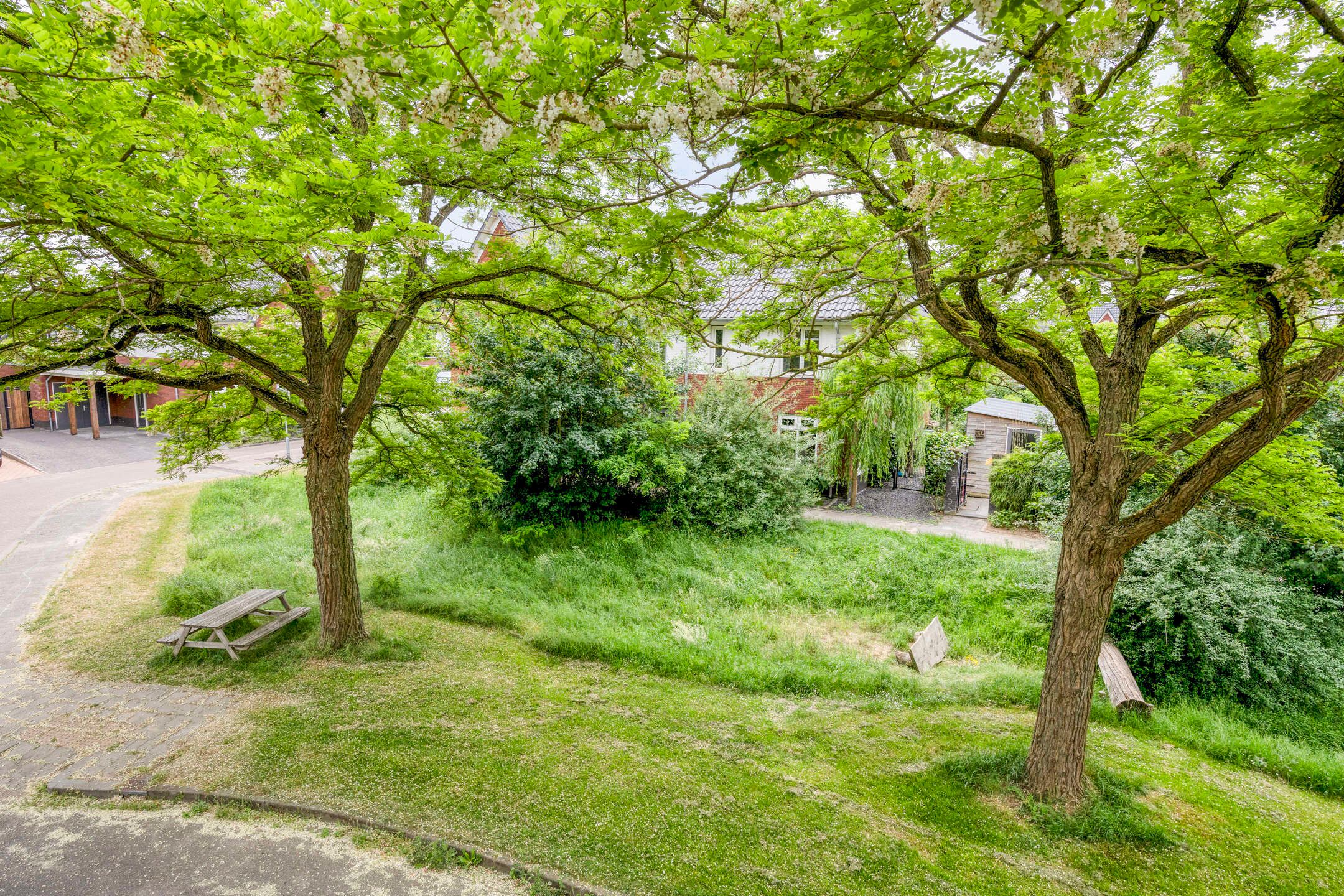 Foto 9 van Fluweelboomstraat 6