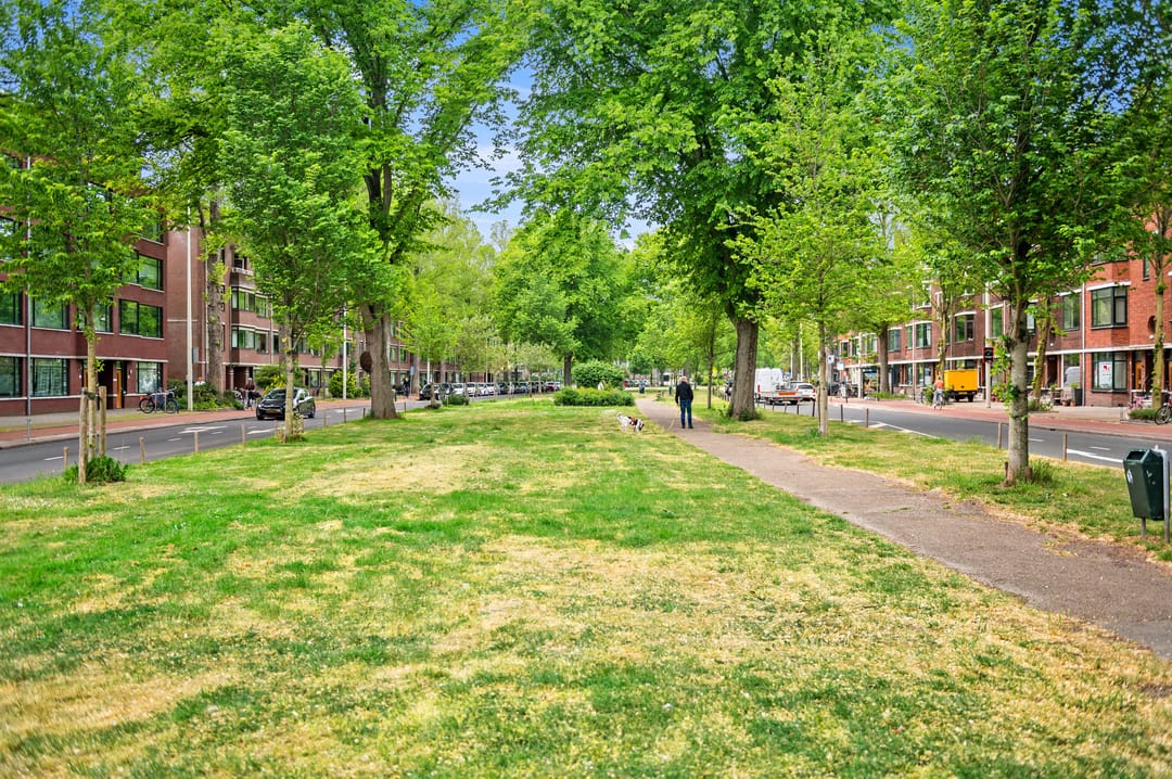 Foto 37 van Goudreinetstraat 241