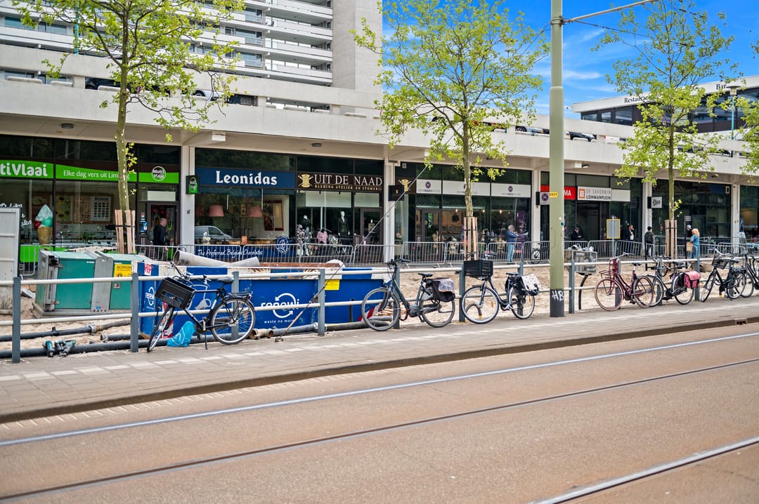 Foto 41 van Goudreinetstraat 241