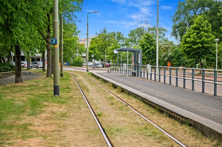 Foto 43 van Goudreinetstraat 241