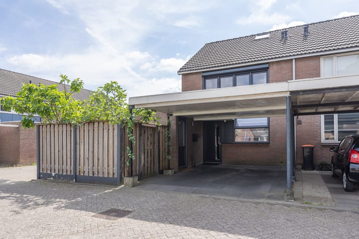 undefined main image