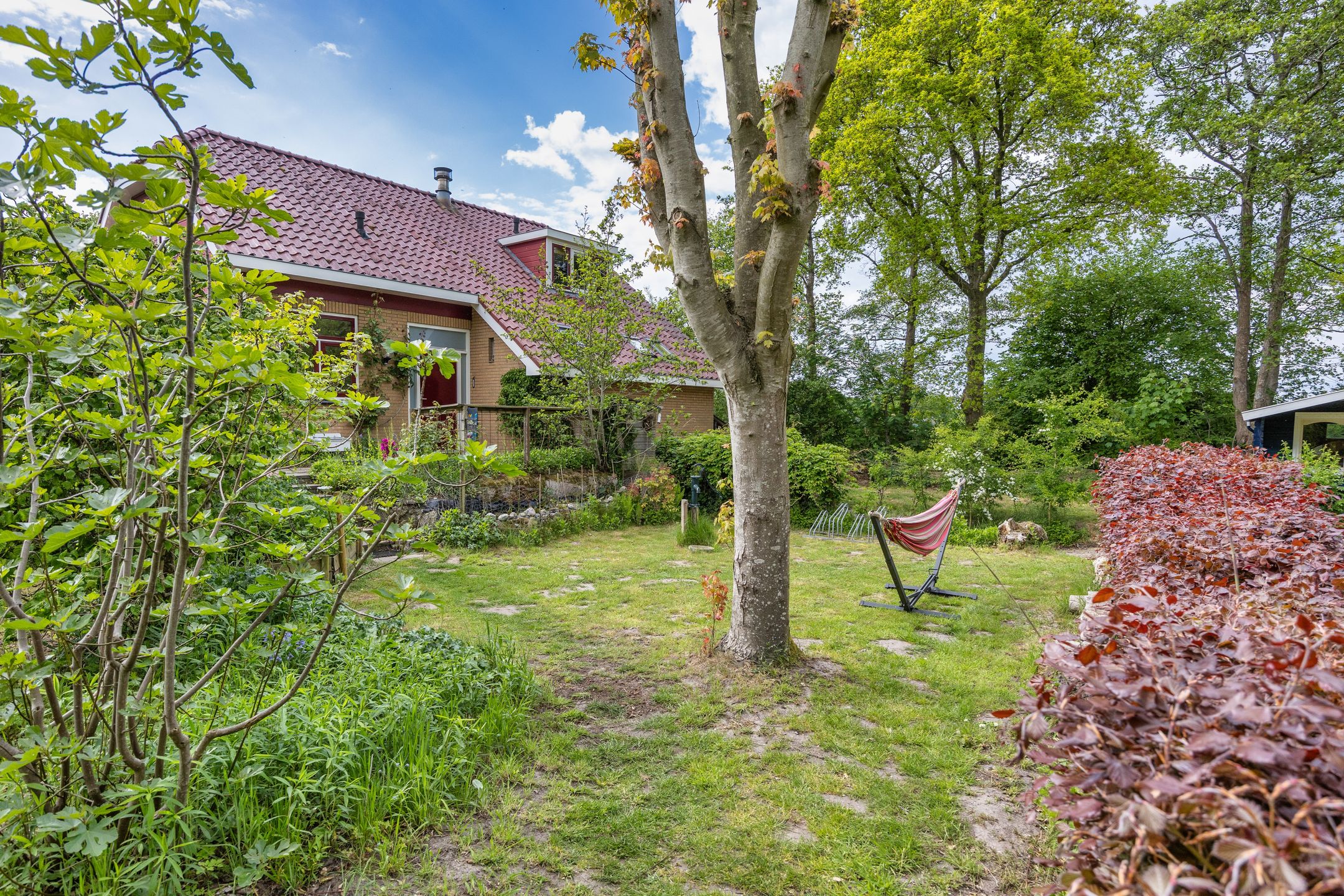 Foto 12 van Oude Balksterweg 1