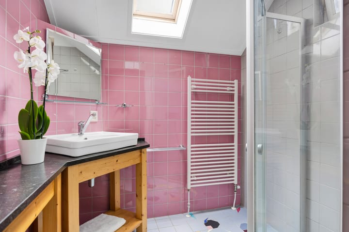 Foto 36 van Oude Balksterweg 1