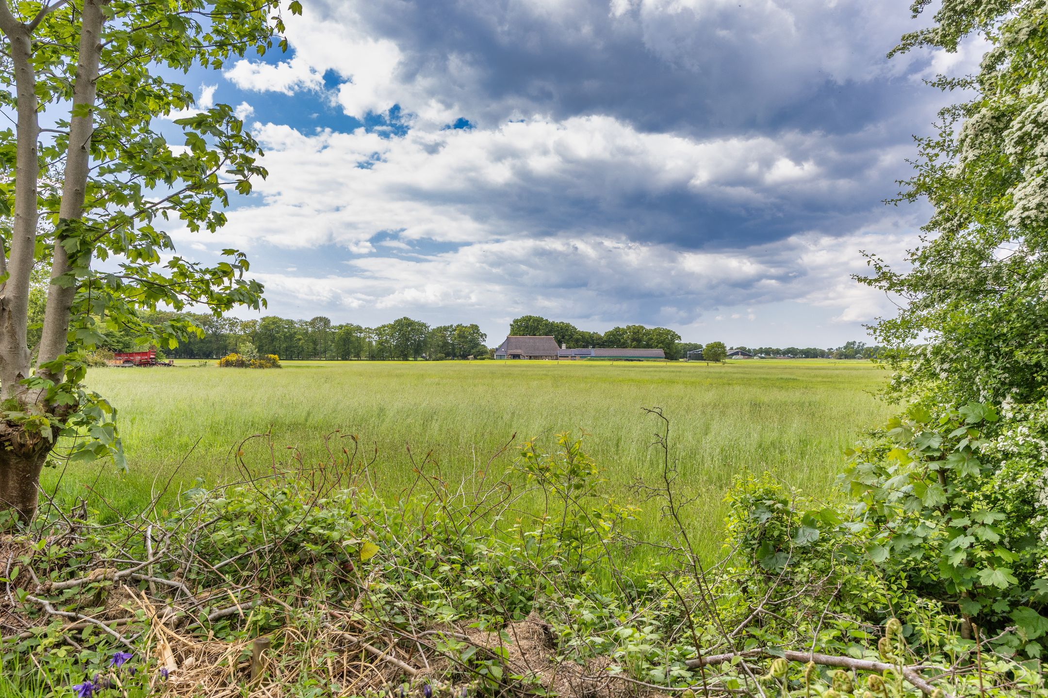 Foto 51 van Oude Balksterweg 1