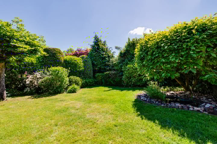 Foto 44 van Rosveld 21