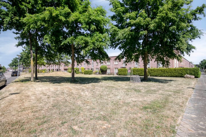 Foto 32 van de Lingert 5710