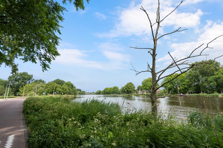 Photo 38 of Van Boshuizenstraat 65