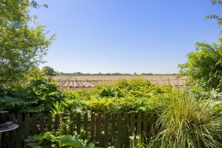 Foto 2 van Borgweg 76