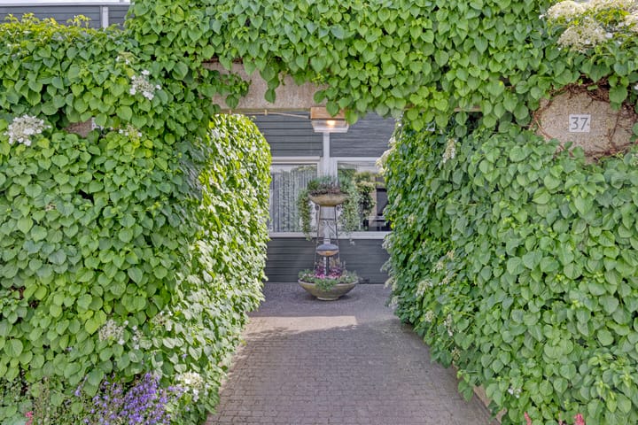 Foto 9 van Spijkert 37