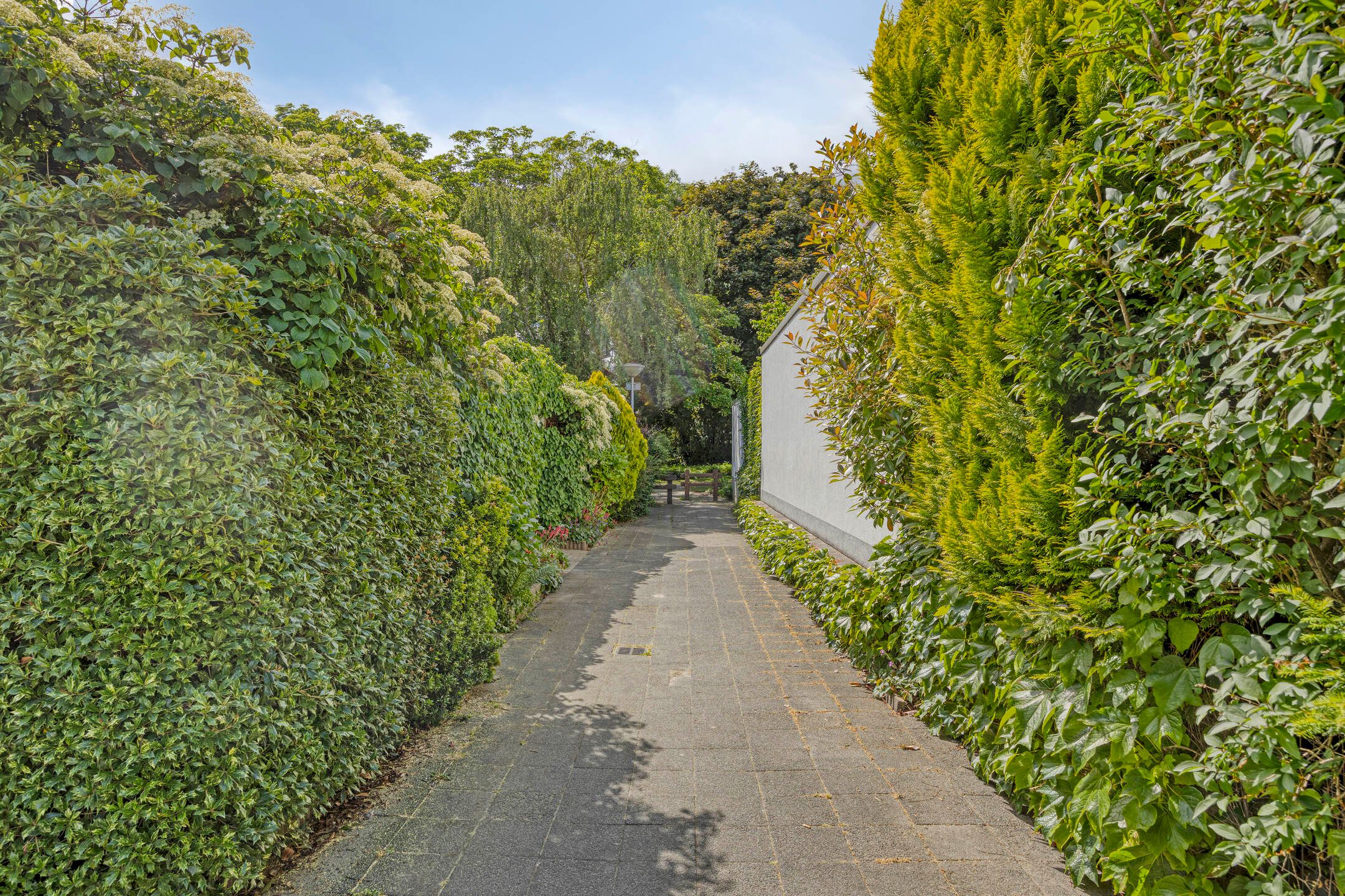 Foto 12 van Spijkert 37