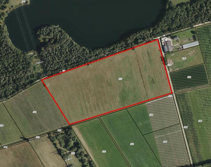 Schooldijk, Neer