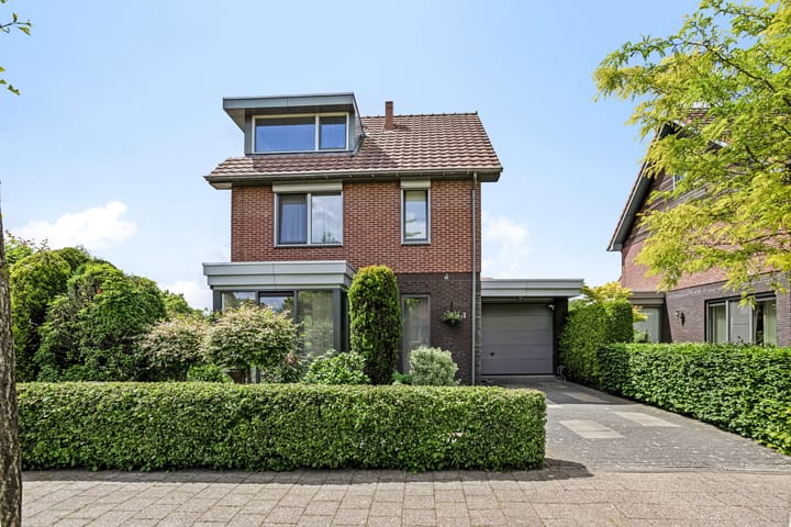 Bekijk foto van Liesgras 1