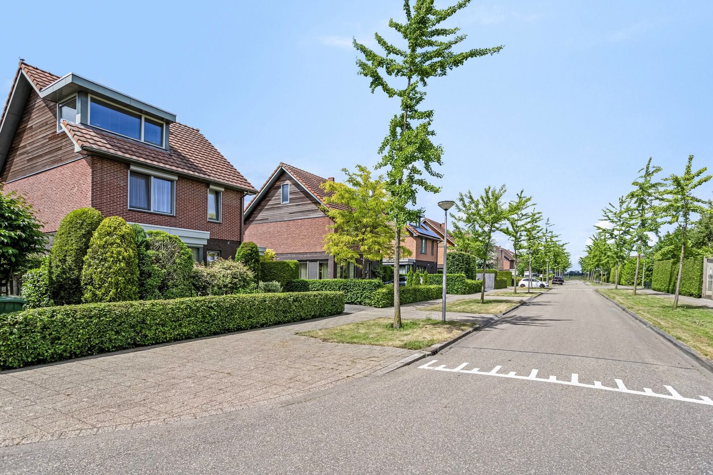 Foto 5 van Liesgras 1