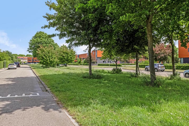 Foto 6 van Liesgras 1