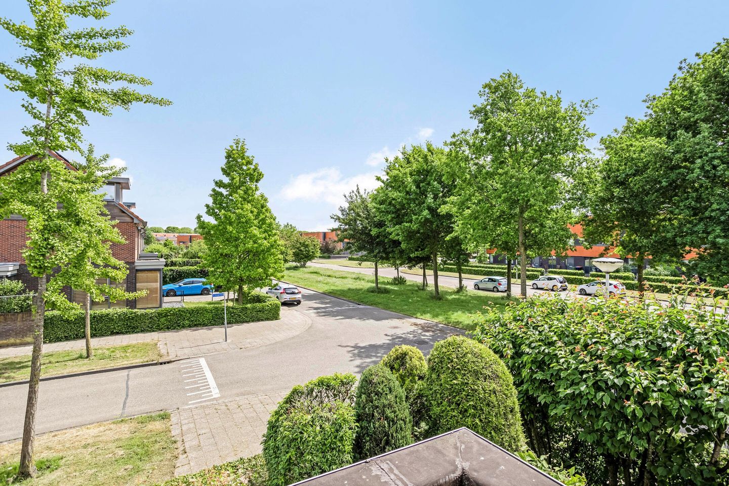 Foto 35 van Liesgras 1