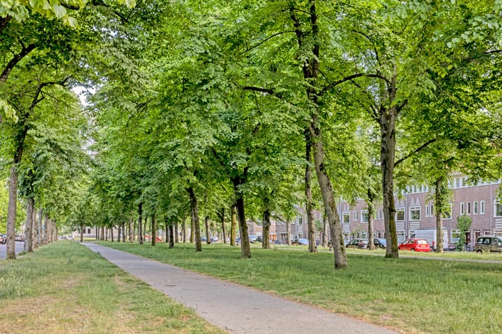 Foto 25 van Anthonius van Alphenstraat 11-B