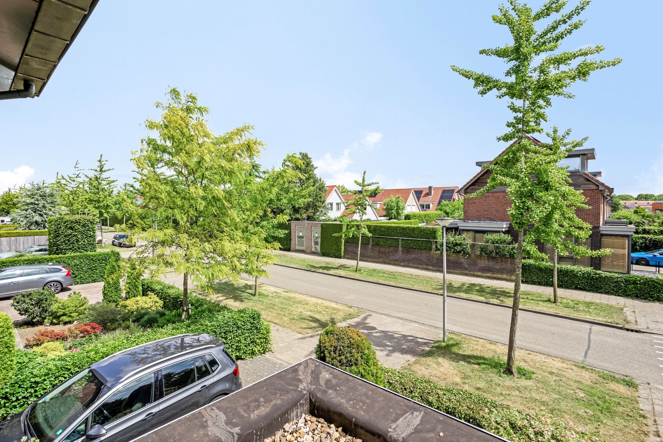 Foto 36 van Liesgras 1