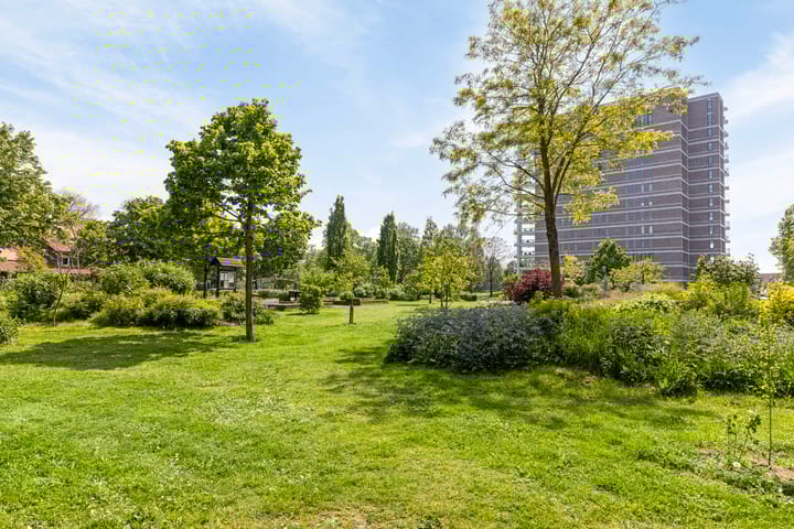 Foto 30 van Anthonius van Alphenstraat 11-B