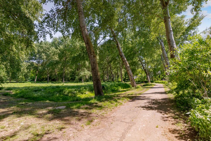 Foto 66 van Wilgengriend 44