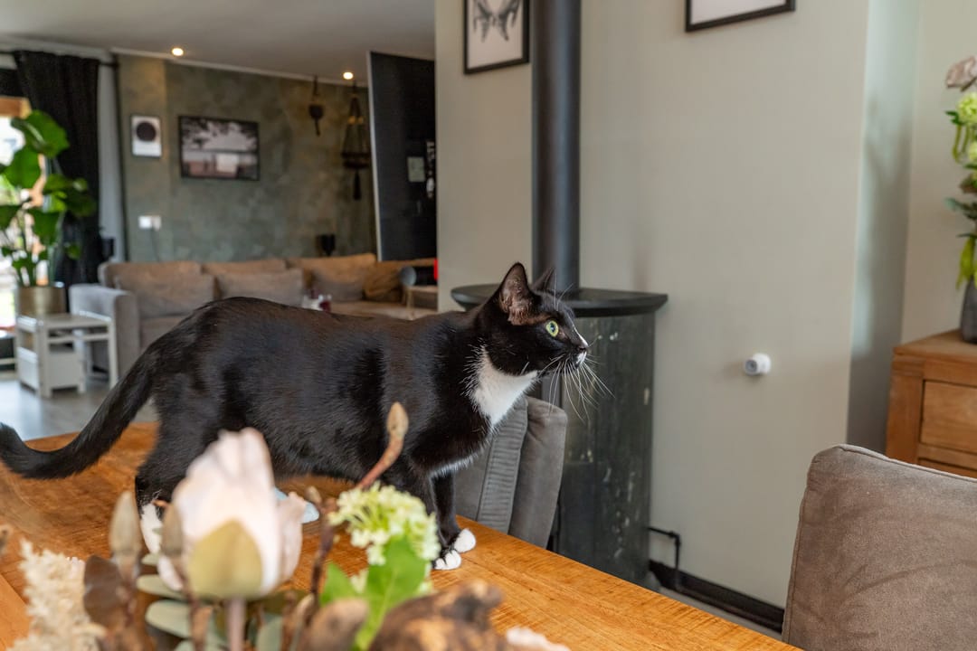 Foto 16 van Eikenlaan 18