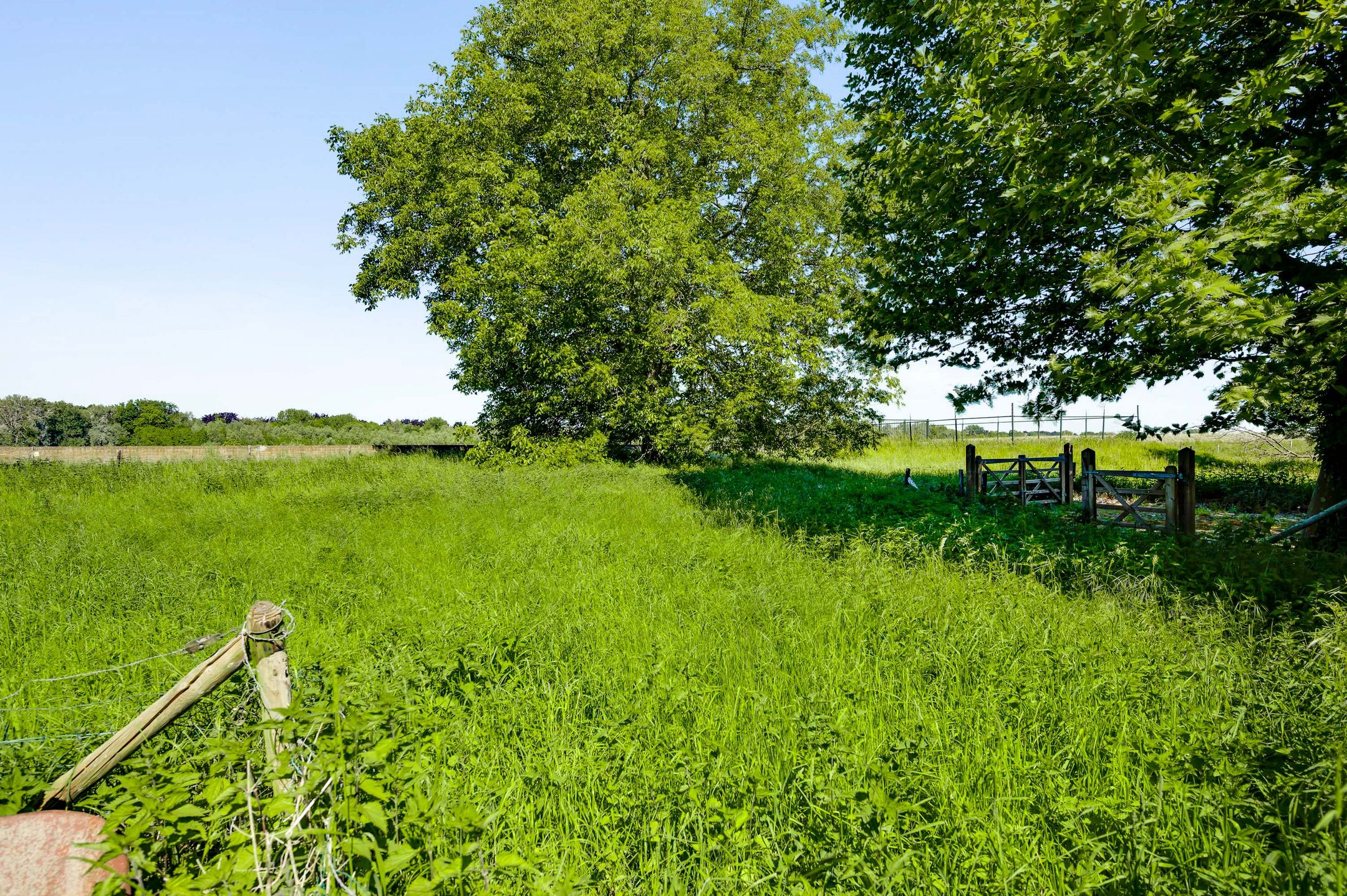 Foto 18 van Op de Meer 52