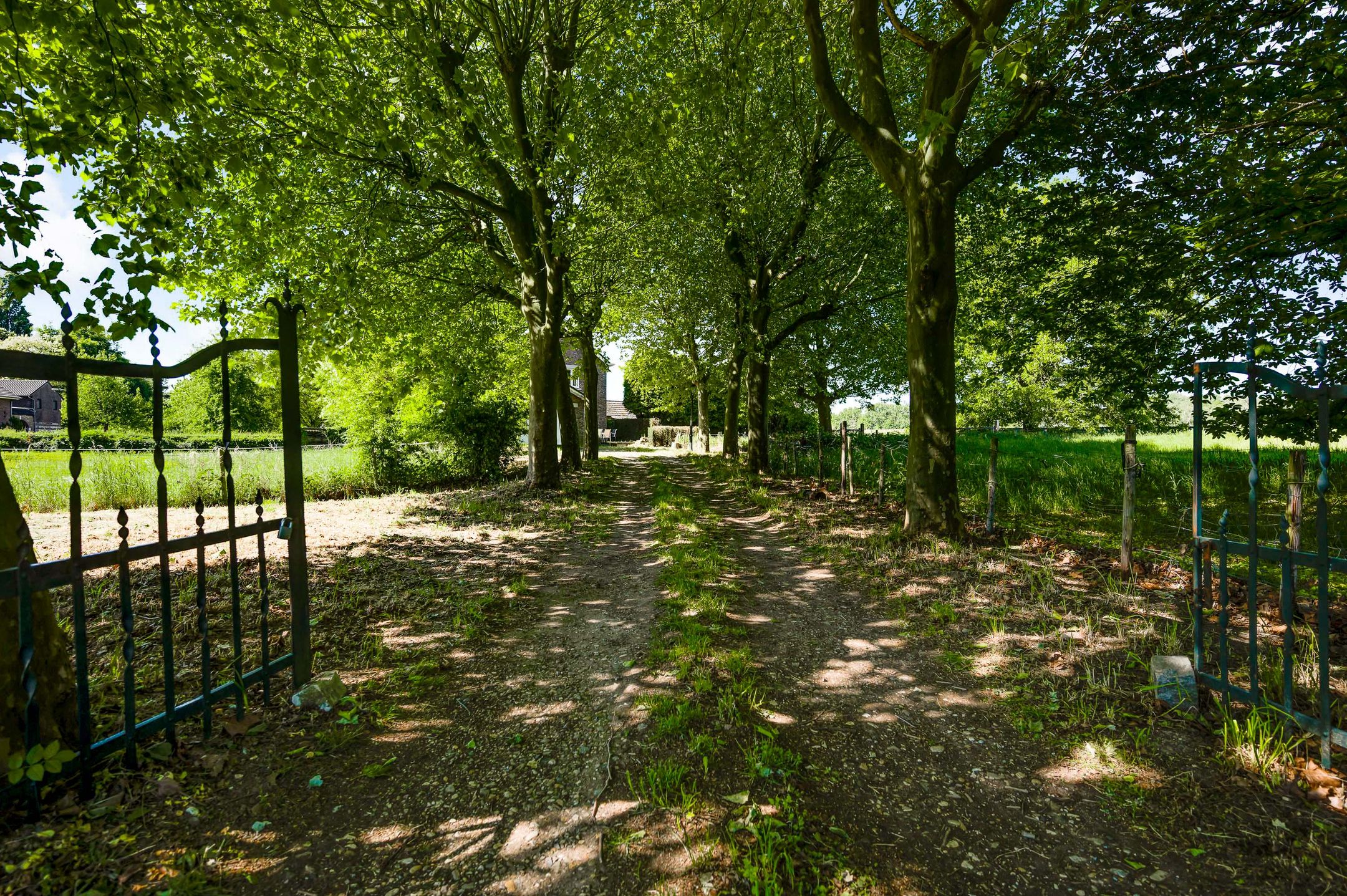 Foto 21 van Op de Meer 52