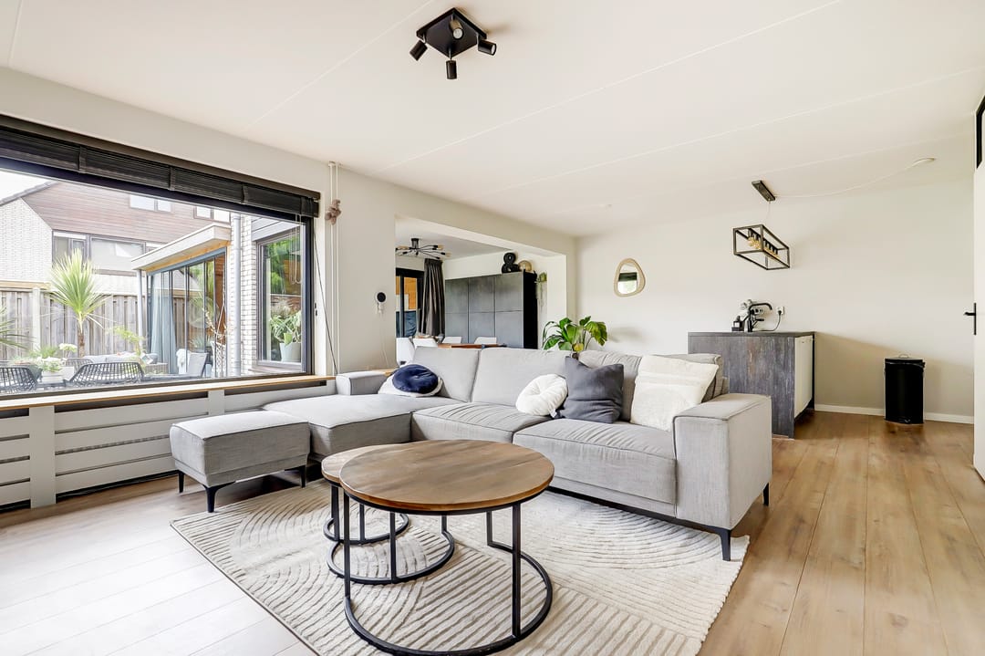 Foto 2 van Cichorei 14