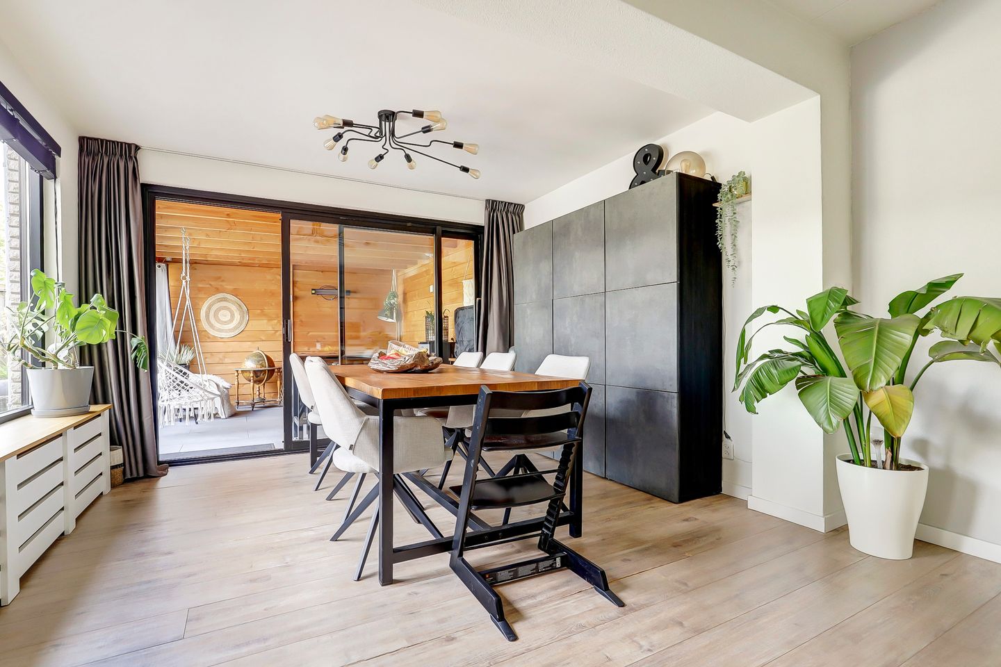 Foto 5 van Cichorei 14