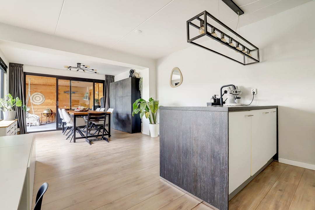 Foto 7 van Cichorei 14