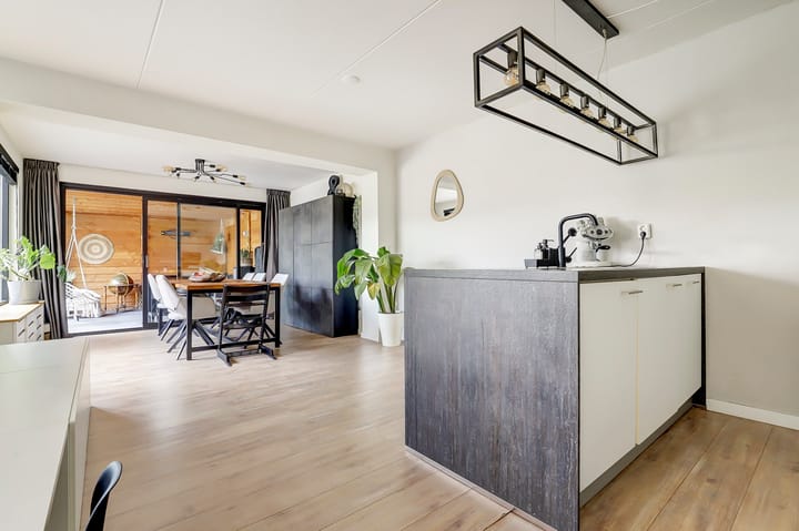 Foto 7 van Cichorei 14