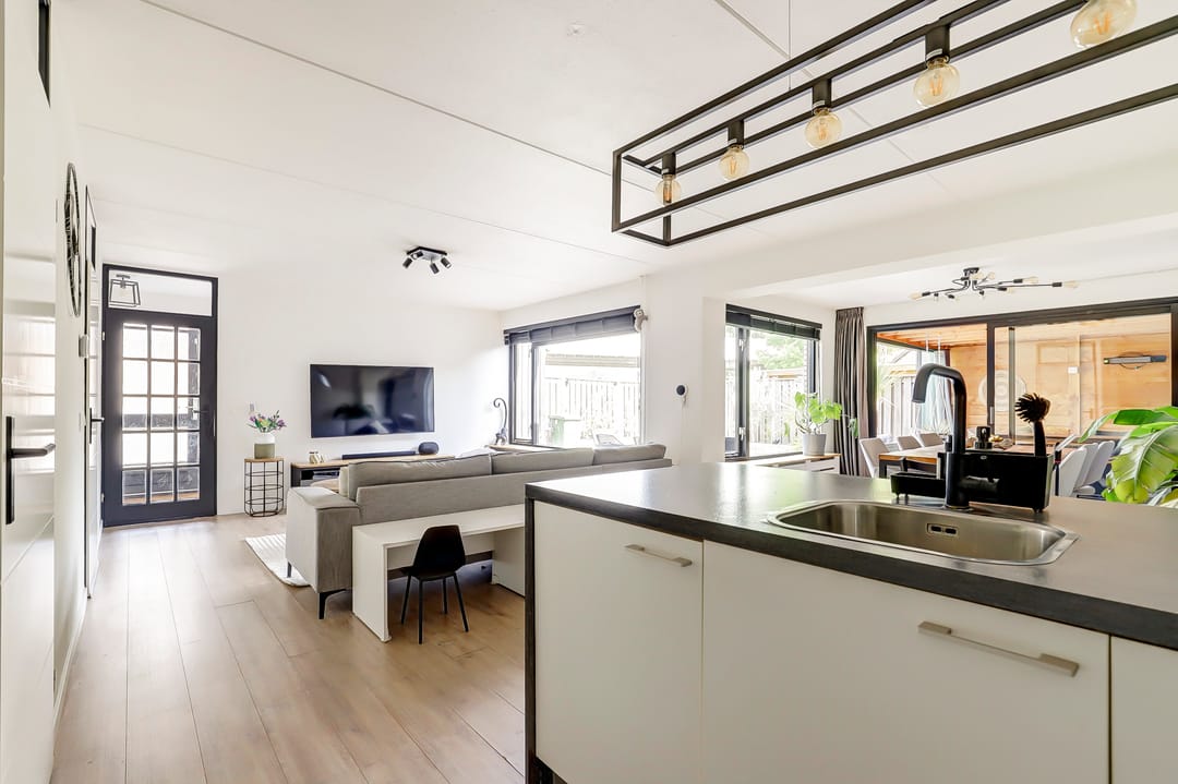 Foto 8 van Cichorei 14