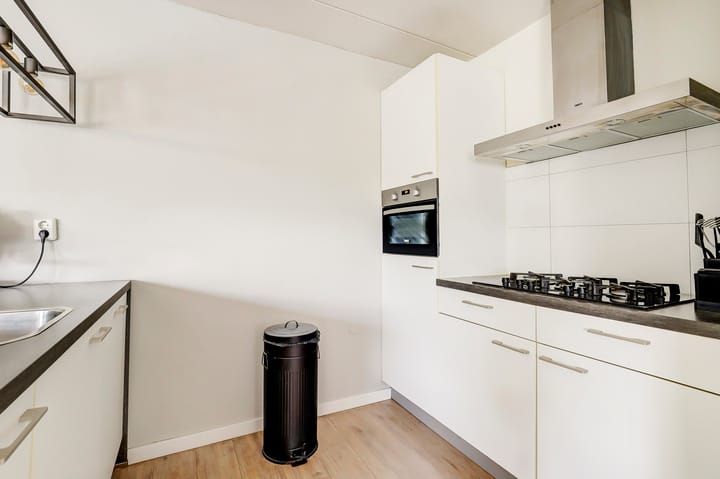 Foto 9 van Cichorei 14