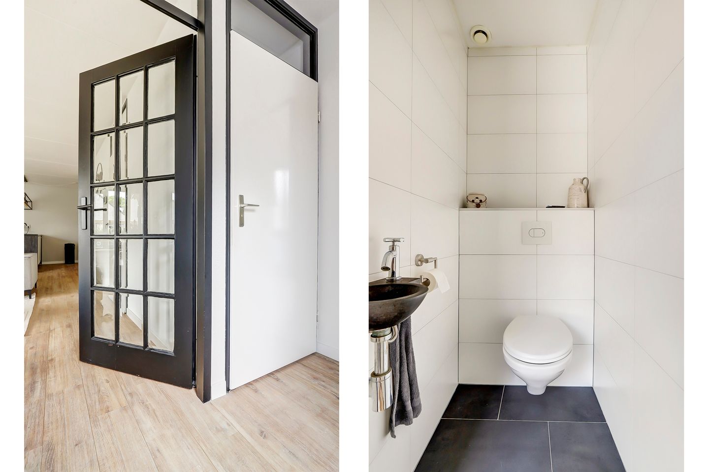 Foto 10 van Cichorei 14