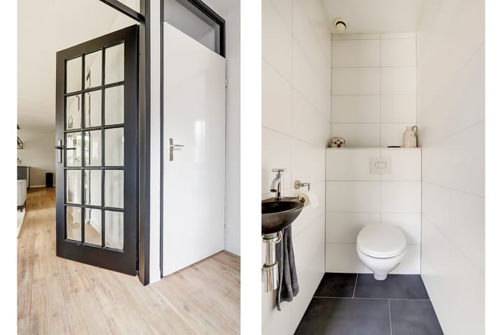 Foto 10 van Cichorei 14