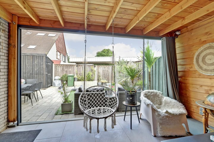 Foto 12 van Cichorei 14