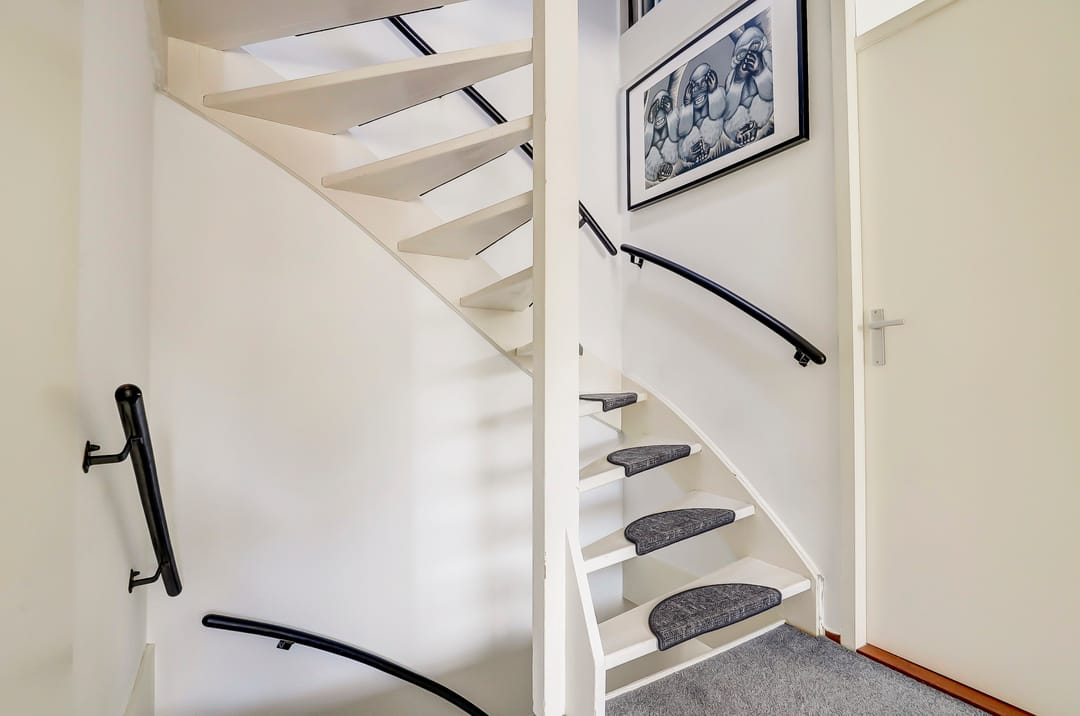 Foto 13 van Cichorei 14