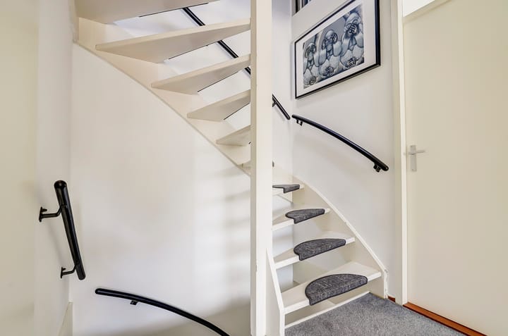 Foto 13 van Cichorei 14