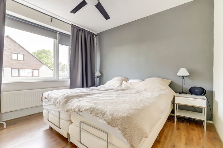 Foto 14 van Cichorei 14