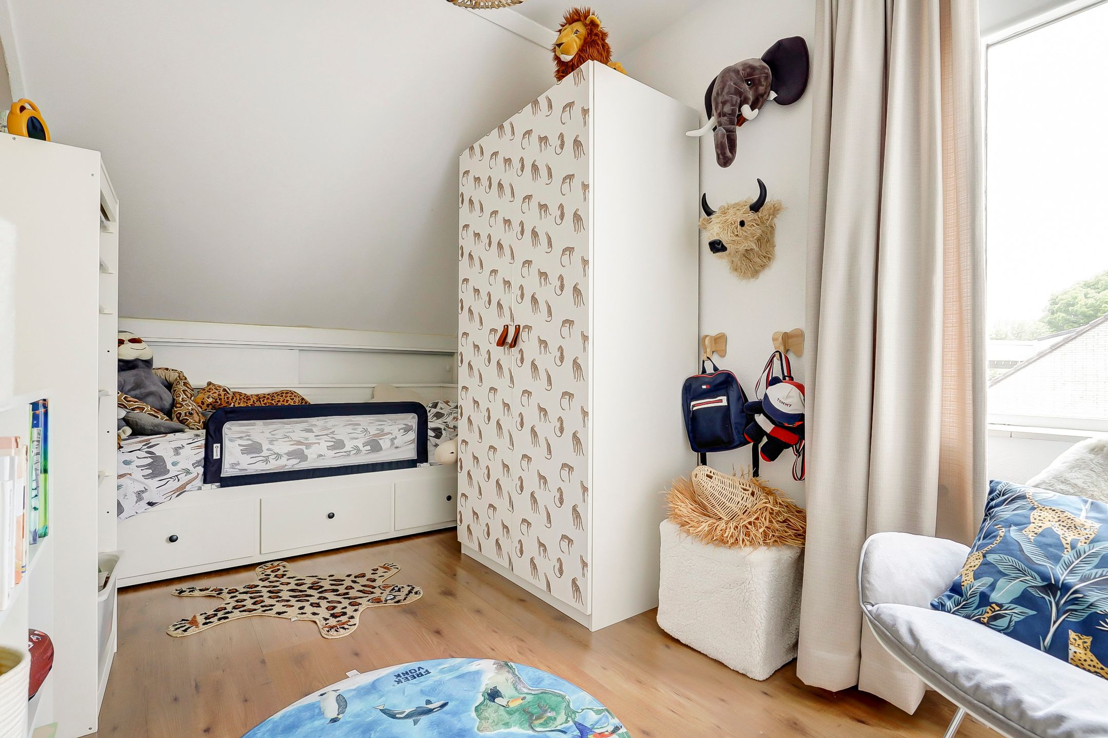 Foto 15 van Cichorei 14