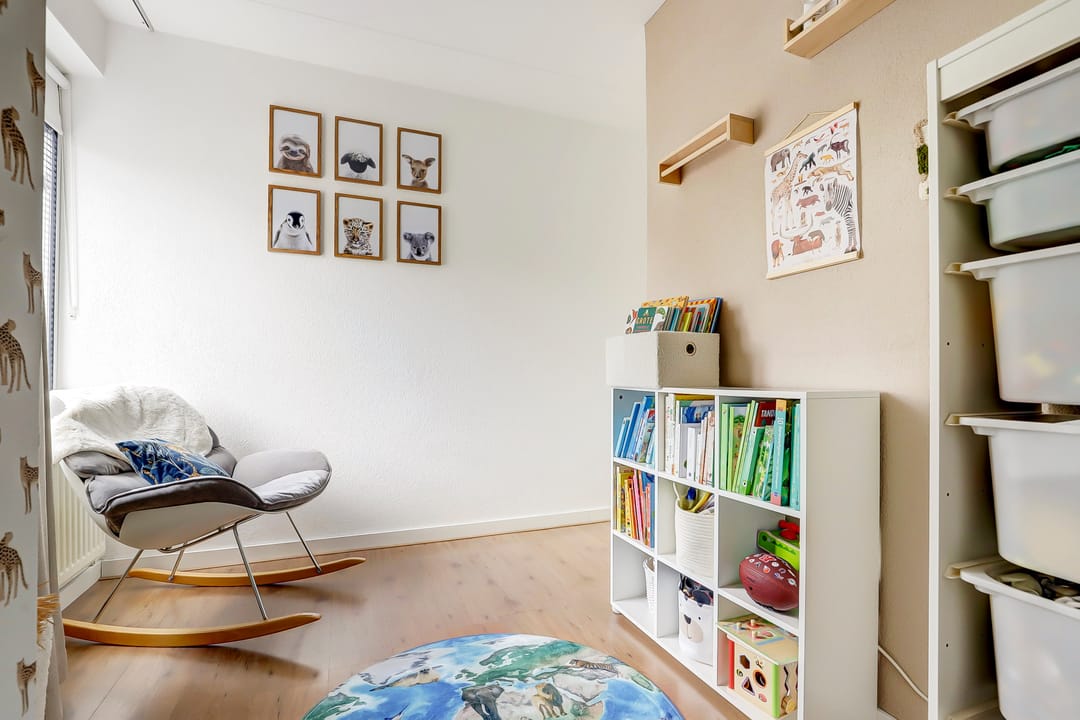 Foto 16 van Cichorei 14