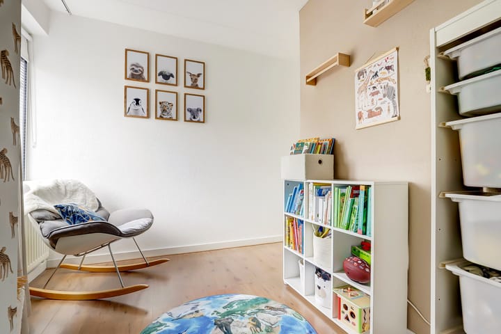 Foto 16 van Cichorei 14