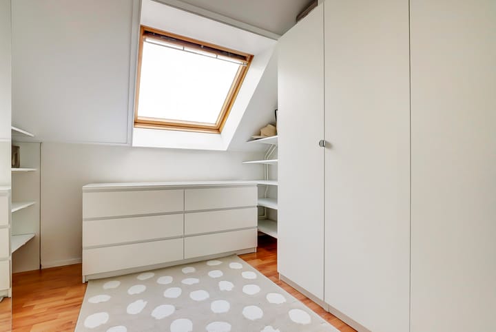 Foto 17 van Cichorei 14